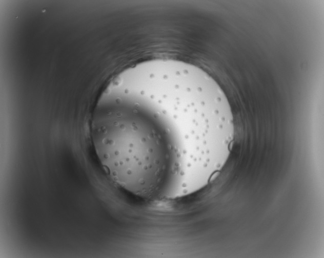 X0000089710573200707051704