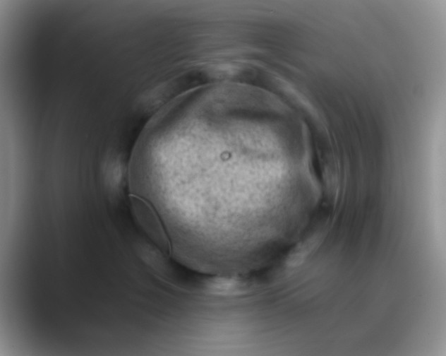 X0000089710574200707051704