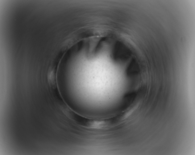 X0000089710575200707051704