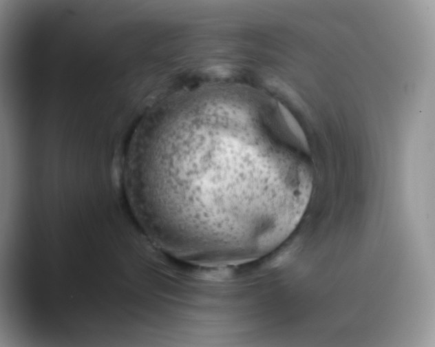 X0000089710576200707051704