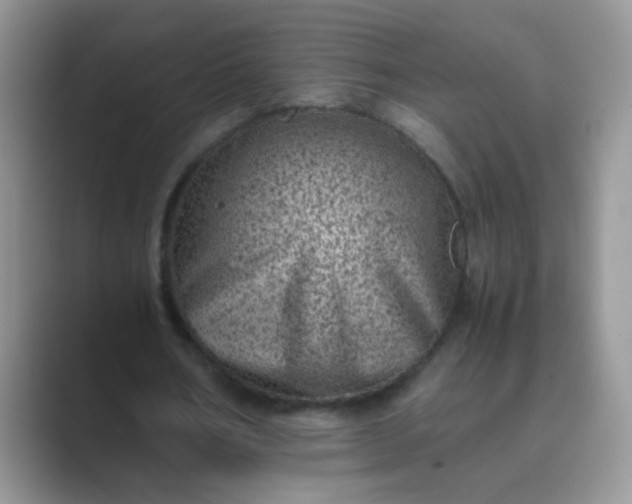 X0000089710578200707051703