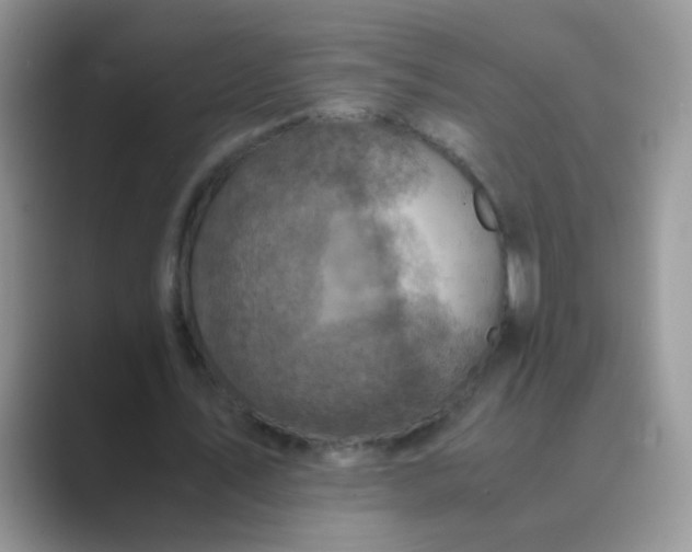 X0000089710579200707051703