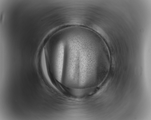 X0000089710580200707051703