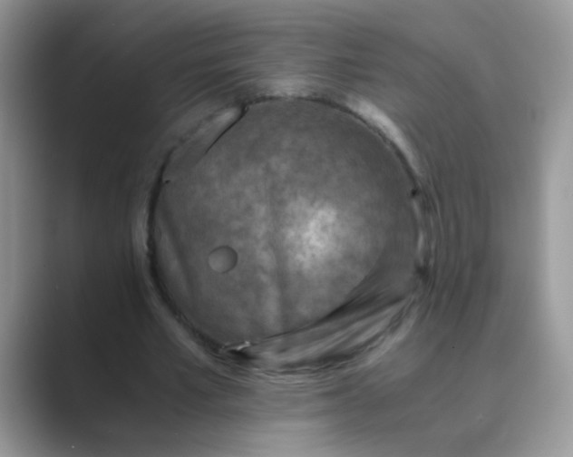 X0000089710581200707051703