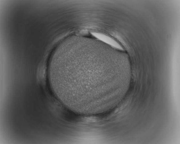 X0000089710583200707051703