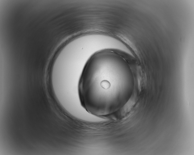 X0000089710584200707051703