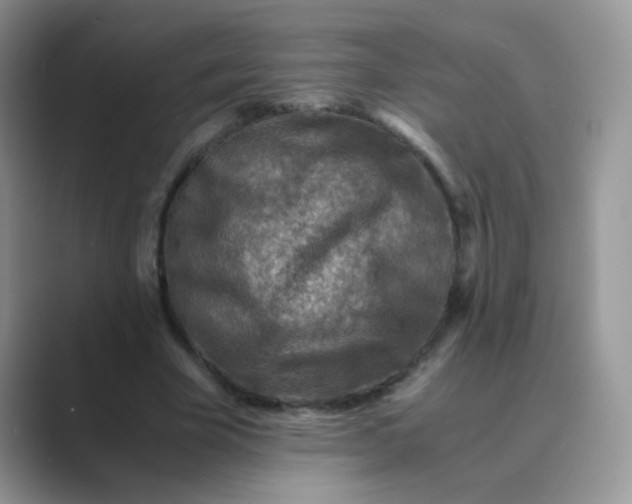 X0000089710585200707051703