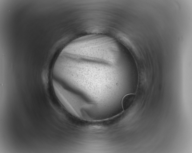 X0000089710586200707051703