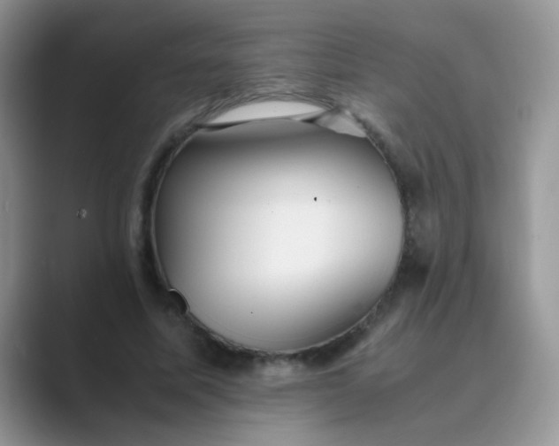 X0000089710587200707051703