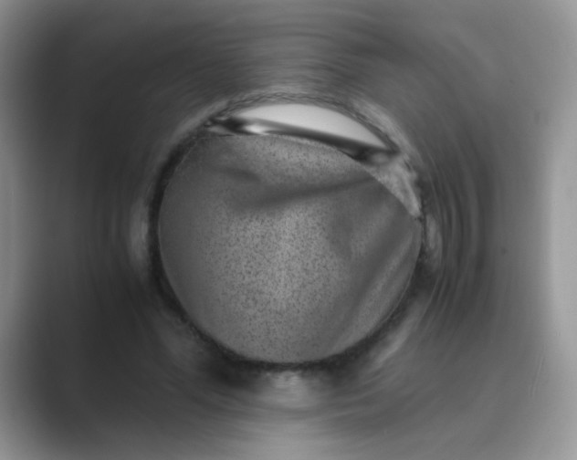 X0000089710588200707051703