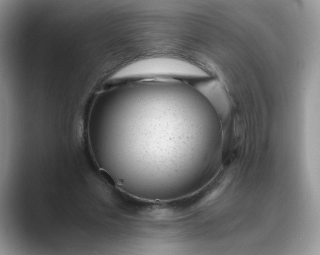 X0000089710589200707051703