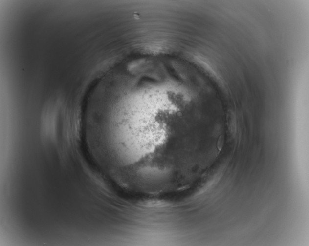 X0000089710590200707051703