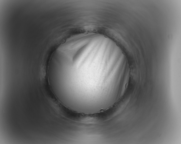 X0000089710593200707051703