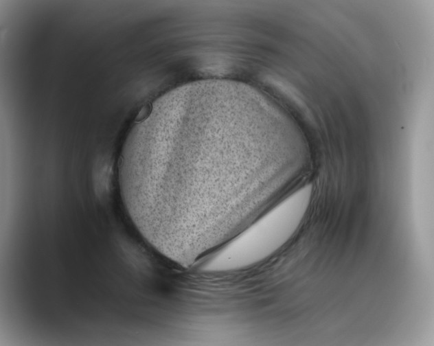 X0000089710596200707051703