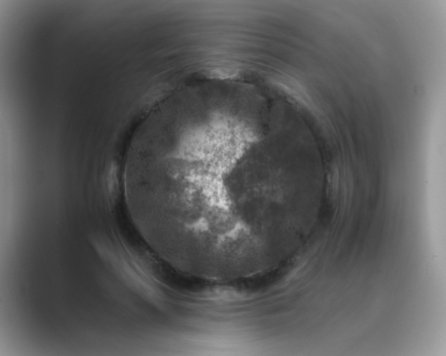 X0000089710598200707051703