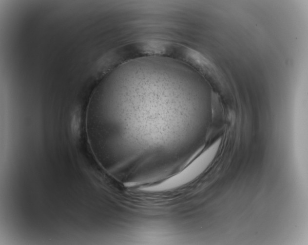 X0000089710600200707051703