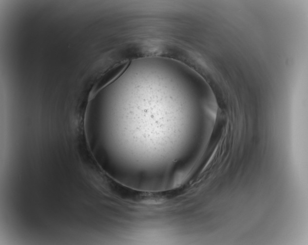 X0000089710601200707051703