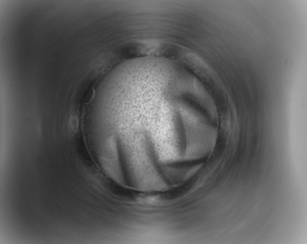 X0000089710602200707051703