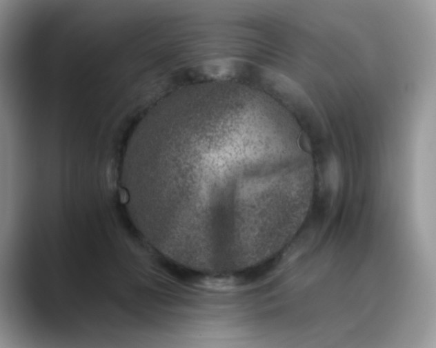 X0000089710606200707051703