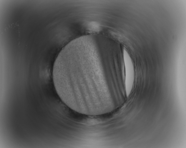 X0000089710608200707051703