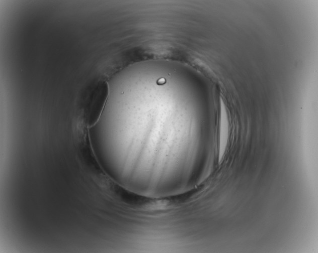 X0000089710609200707051703