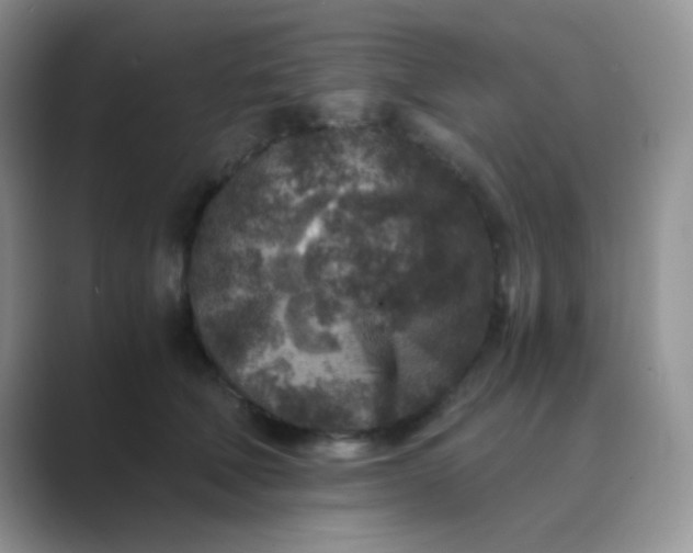 X0000089710610200707051703