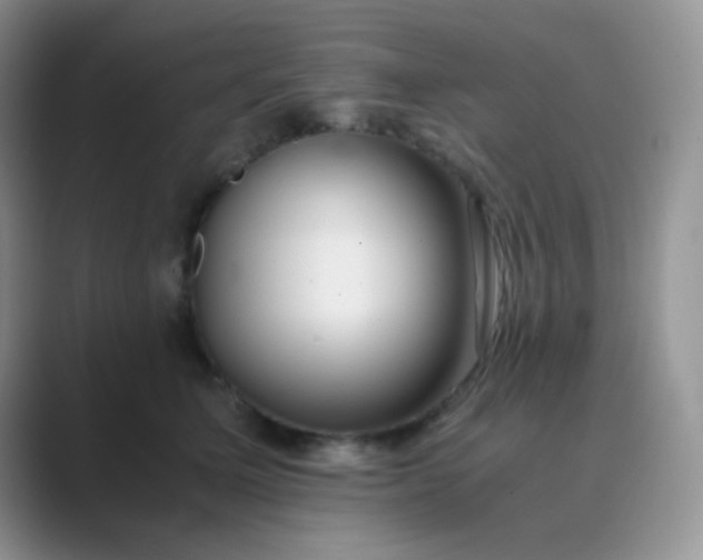 X0000089710611200707051703