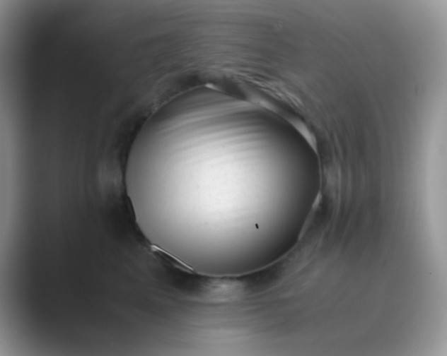 X0000089710617200707051703