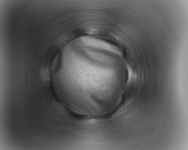 X0000089710620200707051703