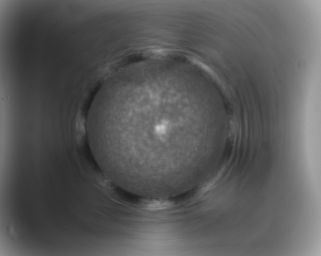 X0000089710621200707051703