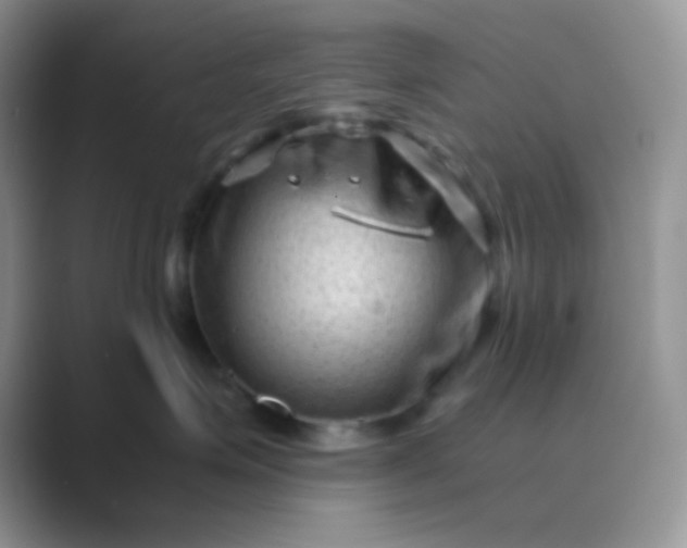 X0000089710623200707051703