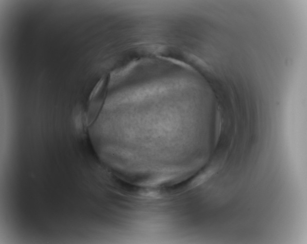 X0000089710624200707051703