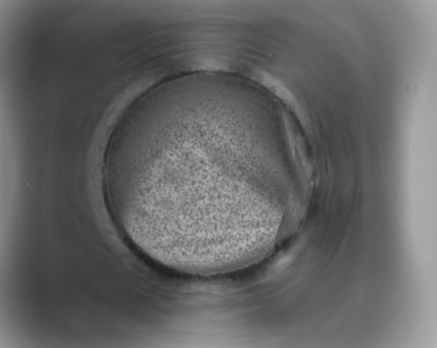 X0000089710625200707051702