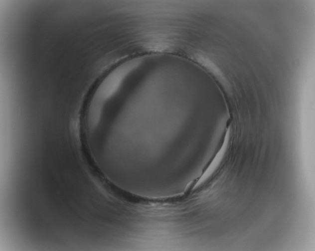 X0000089710626200707051702