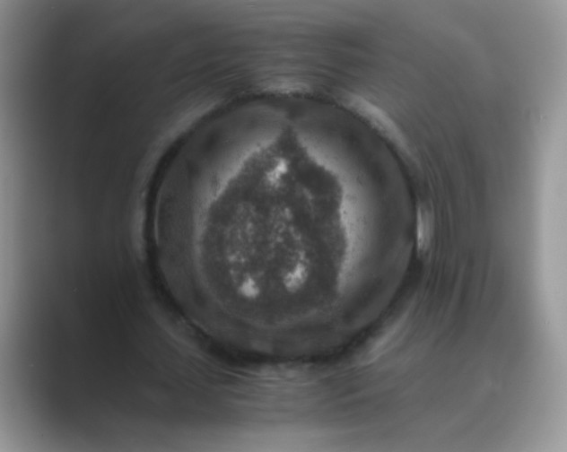 X0000089710627200707051702