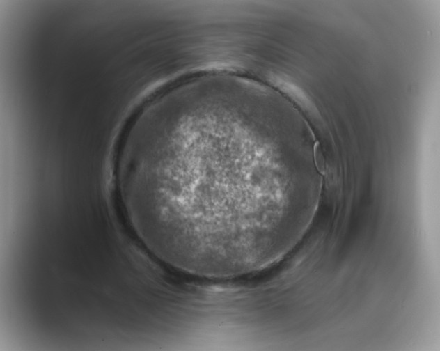 X0000089710628200707051702