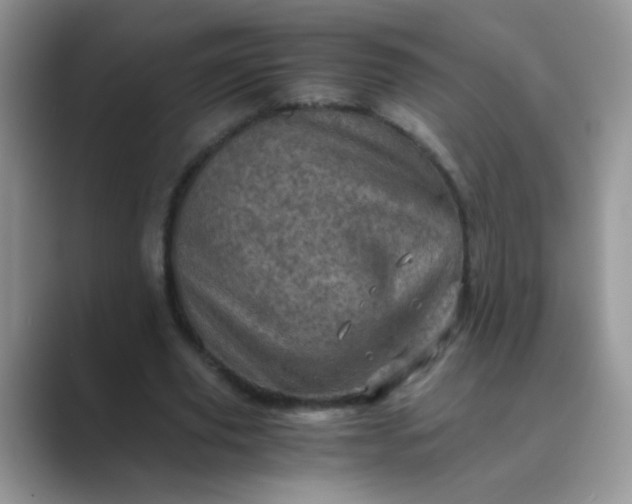 X0000089710629200707051702