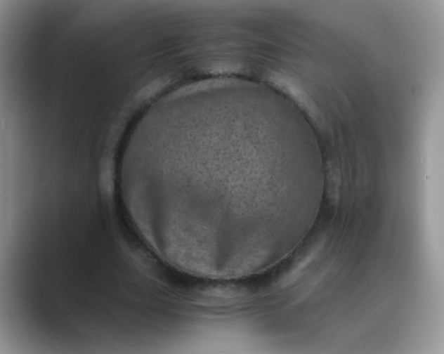 X0000089710631200707051702