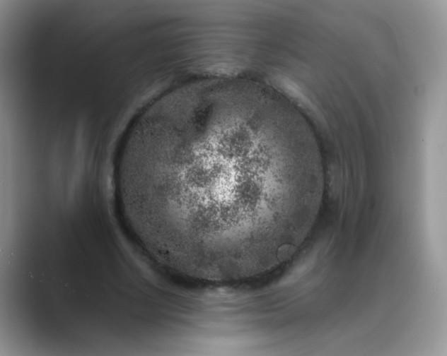 X0000089710634200707051702