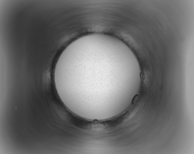 X0000089710636200707051702