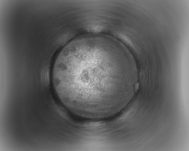 X0000089710638200707051702