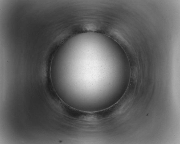 X0000089710639200707051702