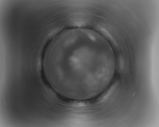 X0000089710640200707051702