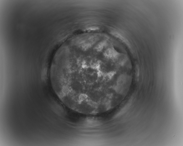 X0000089710641200707051702