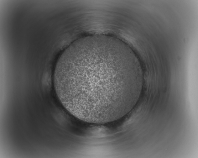 X0000089710642200707051702