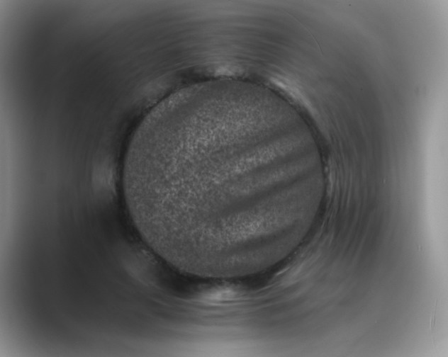 X0000089710643200707051702