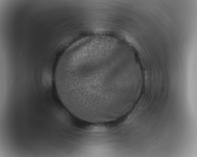 X0000089710644200707051702