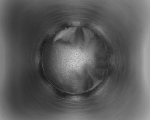 X0000089710645200707051702