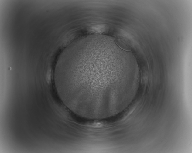 X0000089710647200707051702