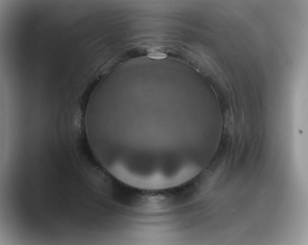 X0000089710650200707051702